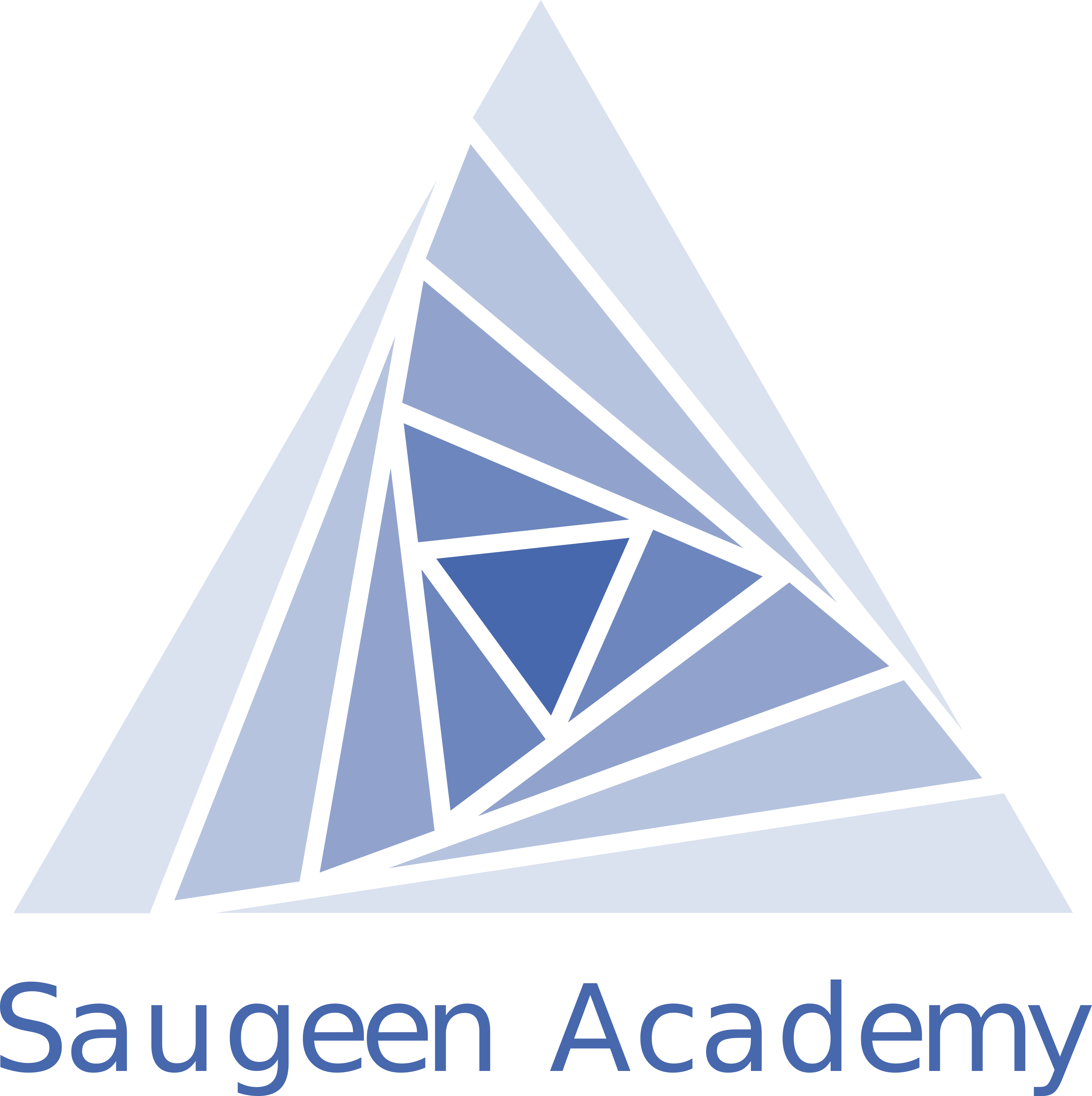 Saugeen Academy